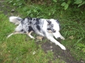Beskydy